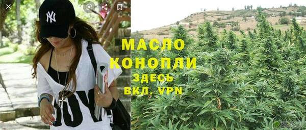mdpv Вяземский